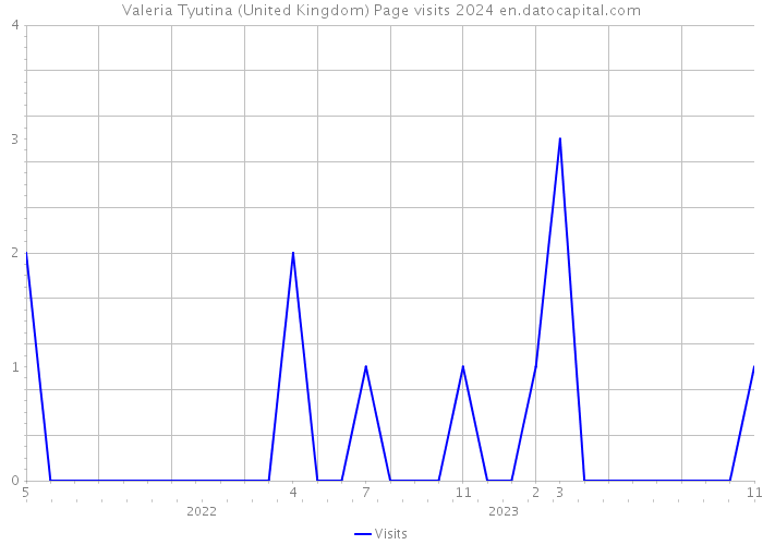 Valeria Tyutina (United Kingdom) Page visits 2024 