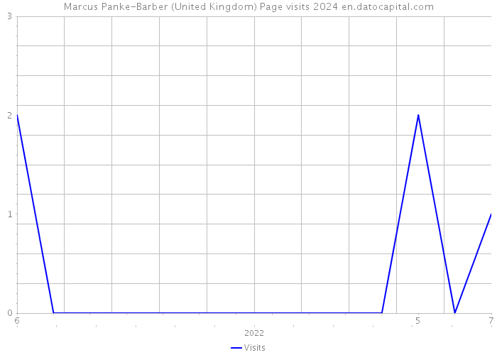 Marcus Panke-Barber (United Kingdom) Page visits 2024 