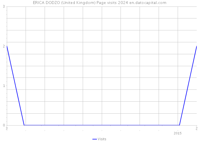ERICA DODZO (United Kingdom) Page visits 2024 