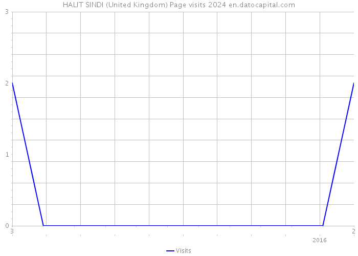HALIT SINDI (United Kingdom) Page visits 2024 