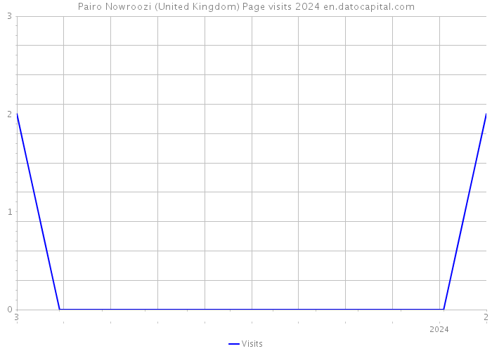 Pairo Nowroozi (United Kingdom) Page visits 2024 