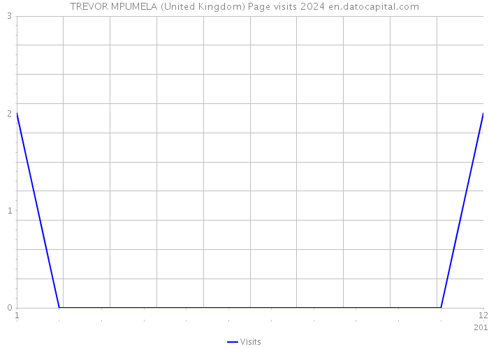 TREVOR MPUMELA (United Kingdom) Page visits 2024 