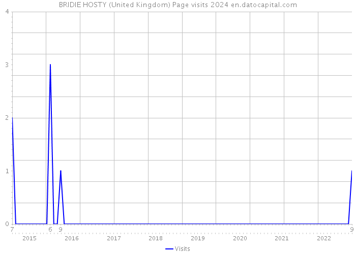 BRIDIE HOSTY (United Kingdom) Page visits 2024 