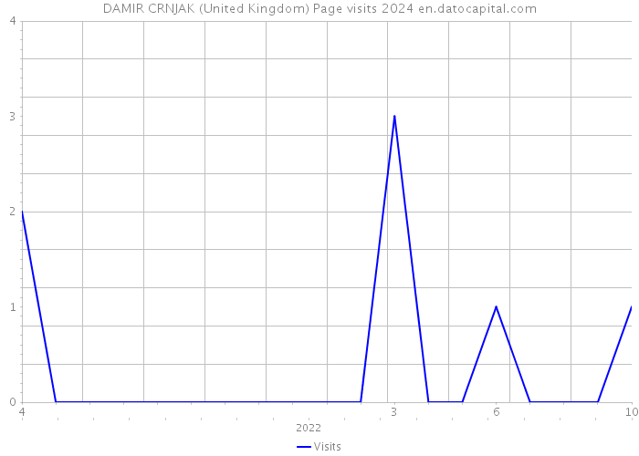 DAMIR CRNJAK (United Kingdom) Page visits 2024 
