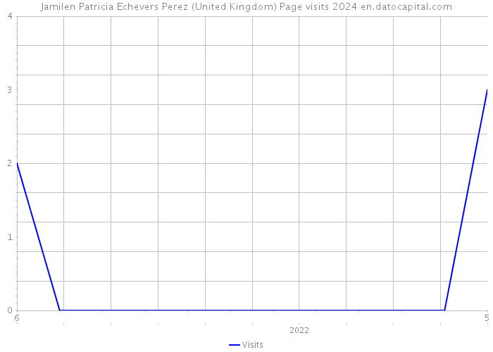 Jamilen Patricia Echevers Perez (United Kingdom) Page visits 2024 