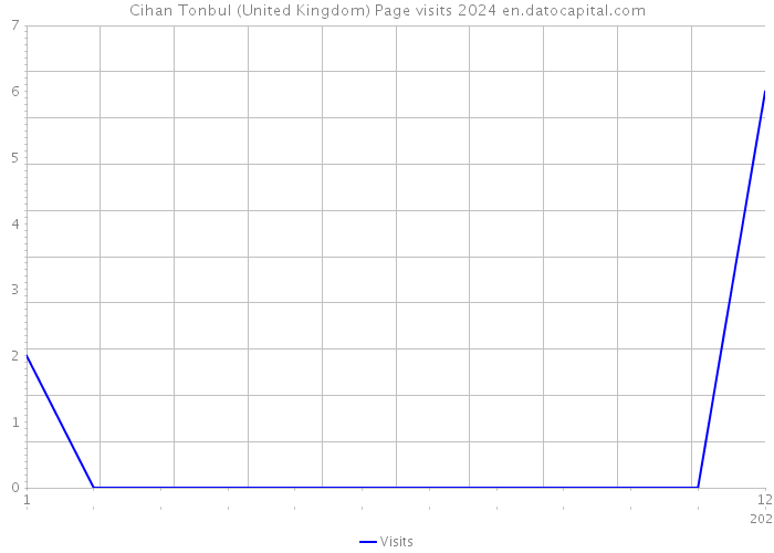 Cihan Tonbul (United Kingdom) Page visits 2024 