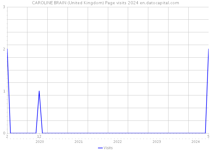 CAROLINE BRAIN (United Kingdom) Page visits 2024 