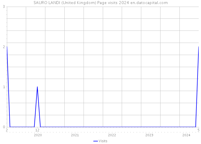 SAURO LANDI (United Kingdom) Page visits 2024 