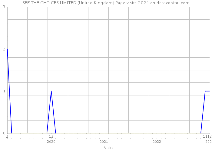 SEE THE CHOICES LIMITED (United Kingdom) Page visits 2024 