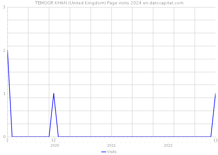TEMOOR KHAN (United Kingdom) Page visits 2024 