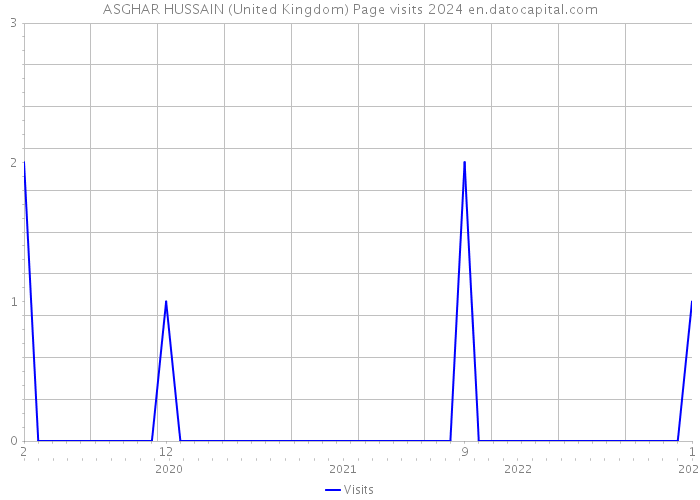 ASGHAR HUSSAIN (United Kingdom) Page visits 2024 