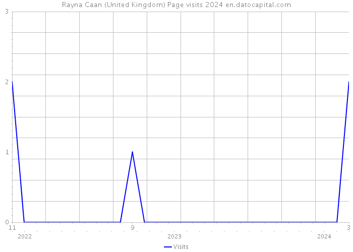 Rayna Caan (United Kingdom) Page visits 2024 