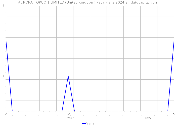 AURORA TOPCO 1 LIMITED (United Kingdom) Page visits 2024 