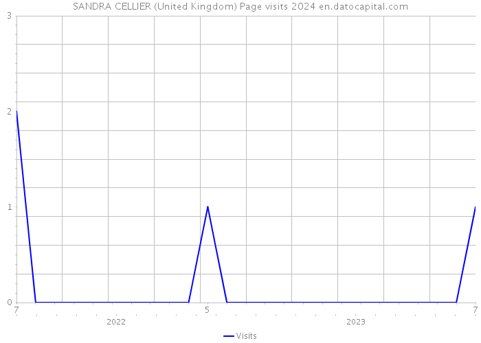 SANDRA CELLIER (United Kingdom) Page visits 2024 