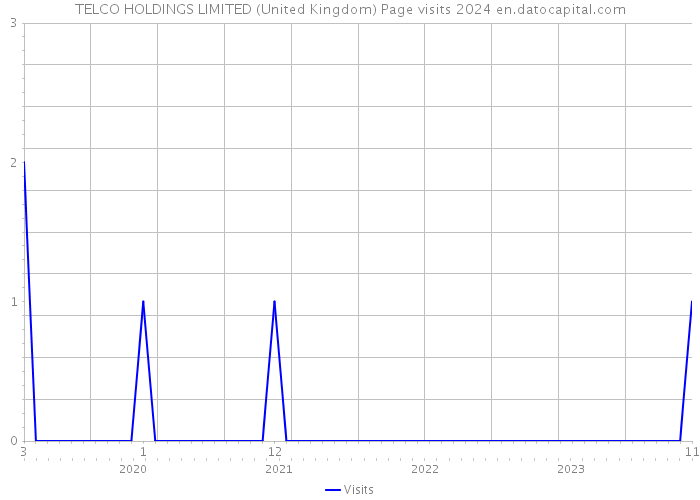 TELCO HOLDINGS LIMITED (United Kingdom) Page visits 2024 