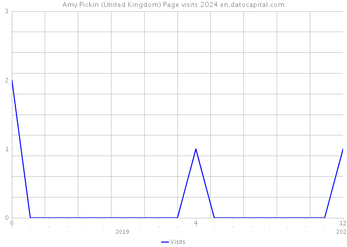 Amy Pickin (United Kingdom) Page visits 2024 
