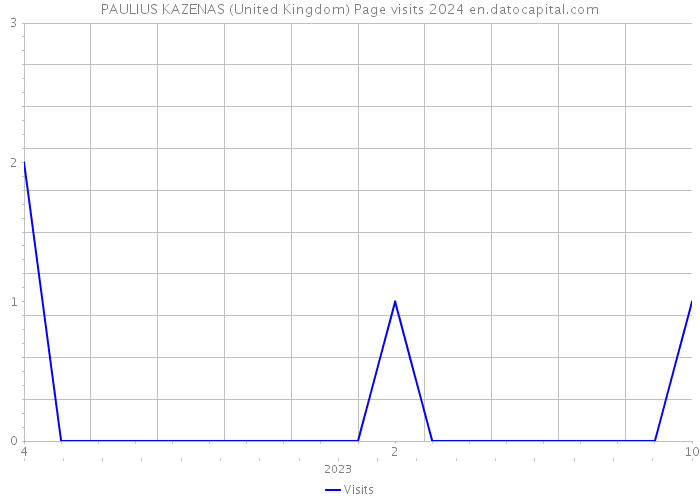 PAULIUS KAZENAS (United Kingdom) Page visits 2024 