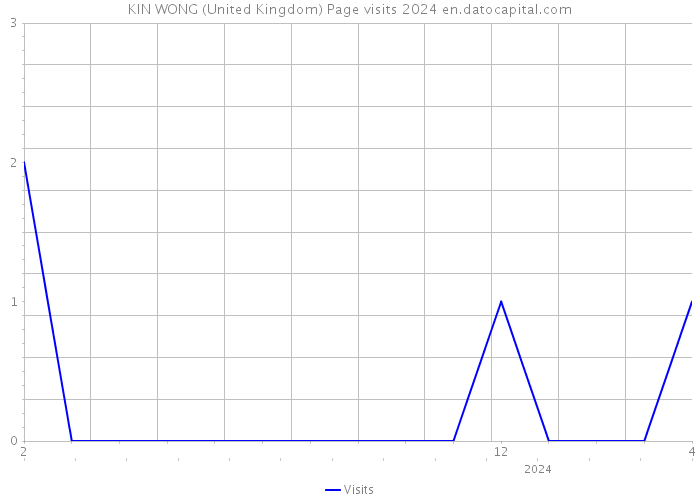 KIN WONG (United Kingdom) Page visits 2024 