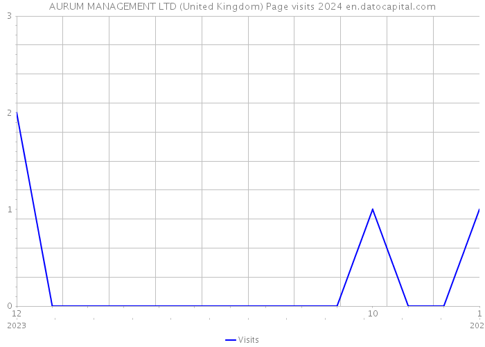 AURUM MANAGEMENT LTD (United Kingdom) Page visits 2024 