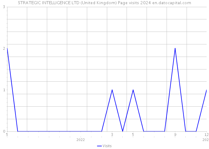 STRATEGIC INTELLIGENCE LTD (United Kingdom) Page visits 2024 
