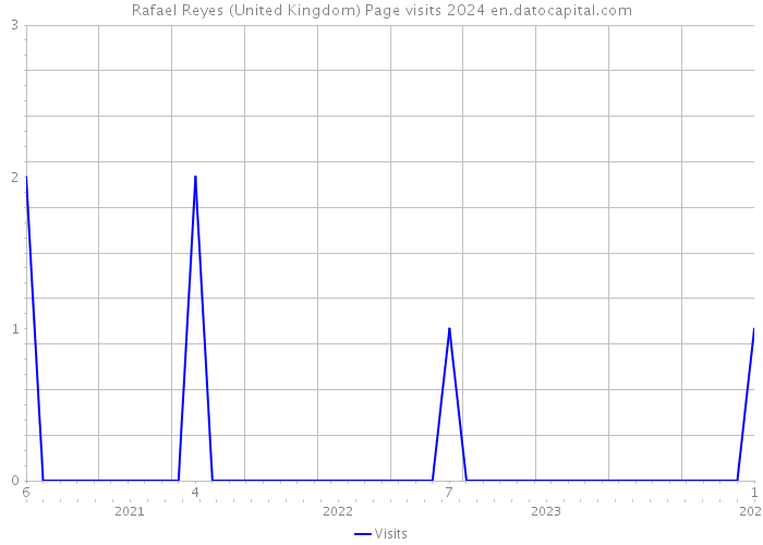 Rafael Reyes (United Kingdom) Page visits 2024 