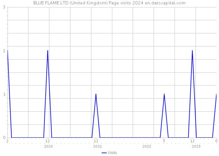 BLUE FLAME LTD (United Kingdom) Page visits 2024 