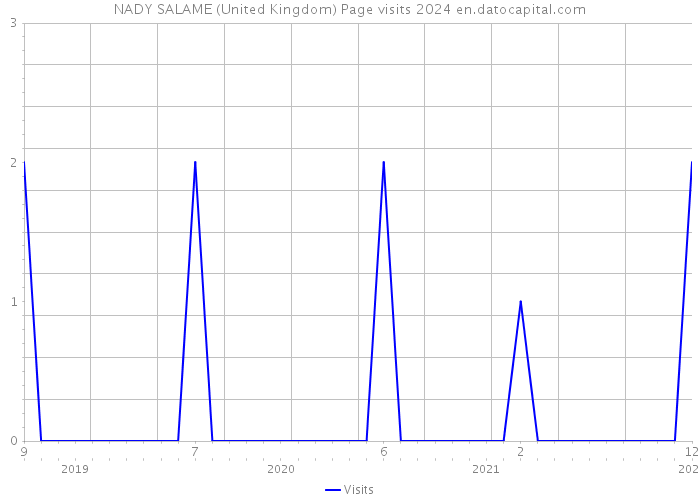 NADY SALAME (United Kingdom) Page visits 2024 