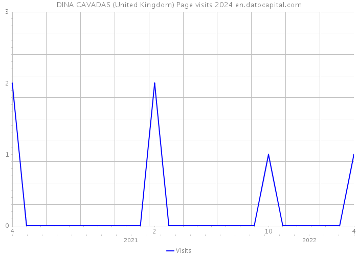 DINA CAVADAS (United Kingdom) Page visits 2024 