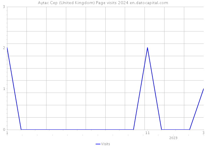 Aytac Cep (United Kingdom) Page visits 2024 