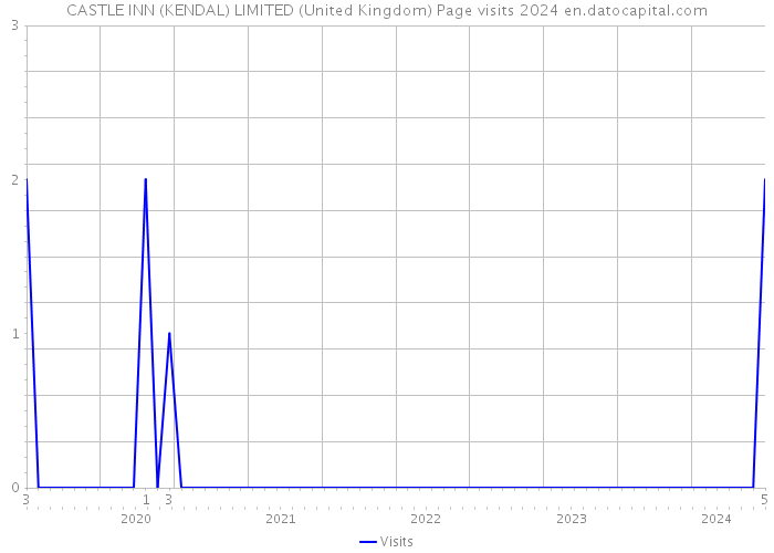 CASTLE INN (KENDAL) LIMITED (United Kingdom) Page visits 2024 