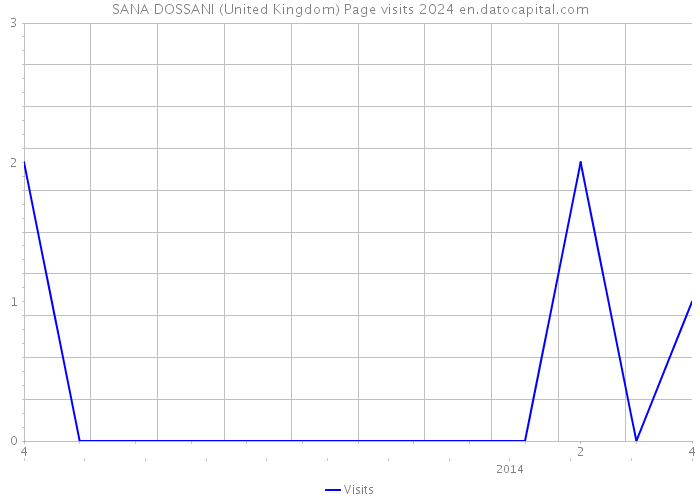 SANA DOSSANI (United Kingdom) Page visits 2024 