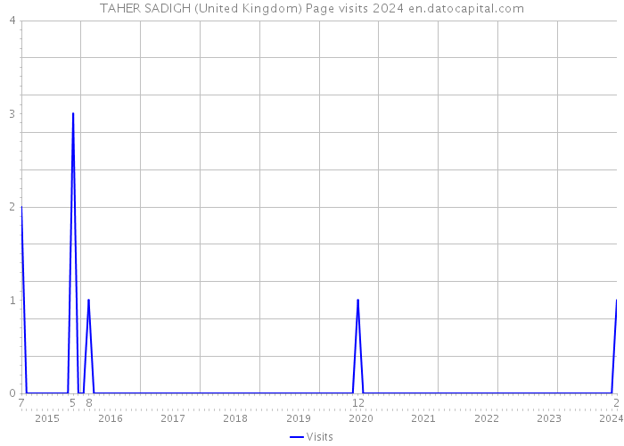 TAHER SADIGH (United Kingdom) Page visits 2024 