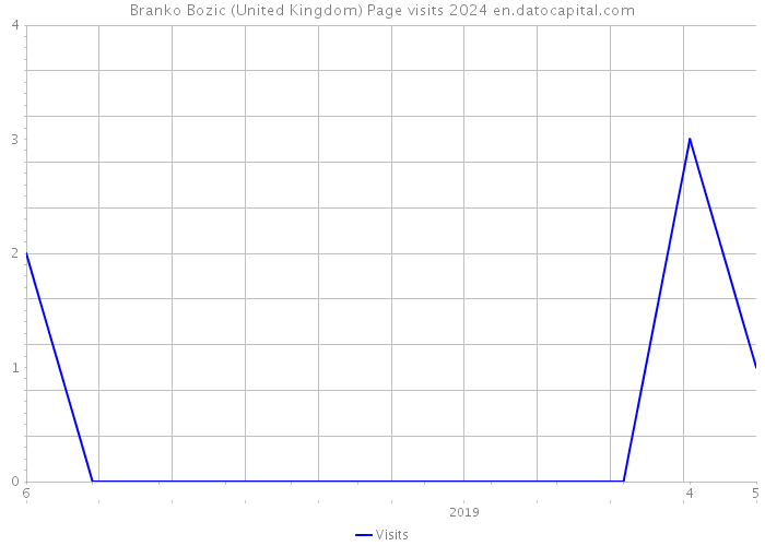 Branko Bozic (United Kingdom) Page visits 2024 