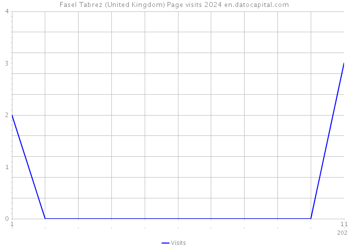 Fasel Tabrez (United Kingdom) Page visits 2024 