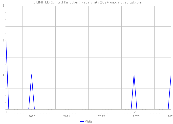T1 LIMITED (United Kingdom) Page visits 2024 