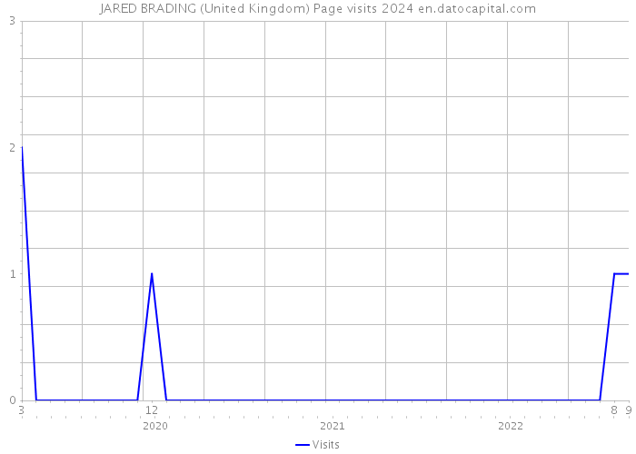 JARED BRADING (United Kingdom) Page visits 2024 