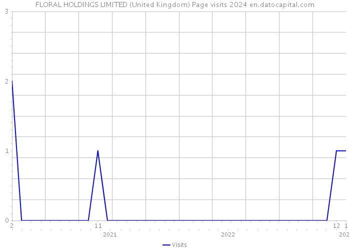 FLORAL HOLDINGS LIMITED (United Kingdom) Page visits 2024 