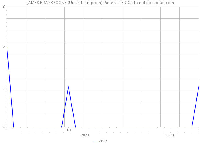 JAMES BRAYBROOKE (United Kingdom) Page visits 2024 