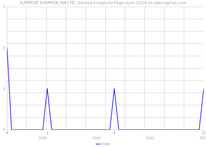 SURPRISE SURPRISE NW LTD. (United Kingdom) Page visits 2024 