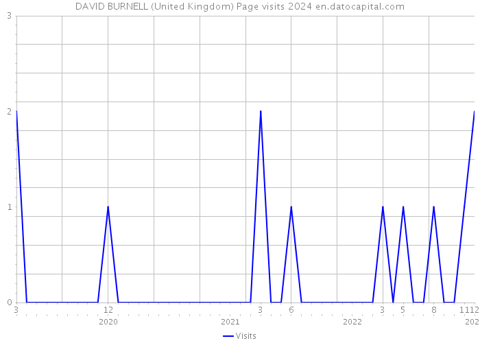 DAVID BURNELL (United Kingdom) Page visits 2024 