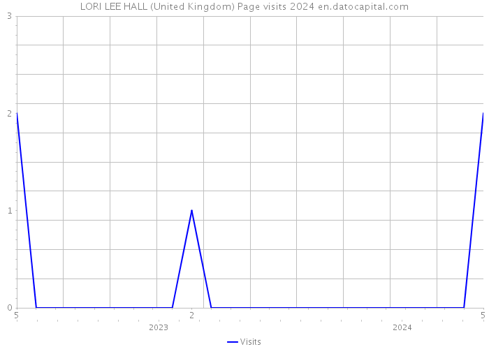 LORI LEE HALL (United Kingdom) Page visits 2024 