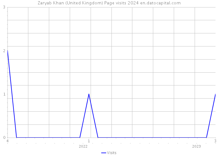 Zaryab Khan (United Kingdom) Page visits 2024 