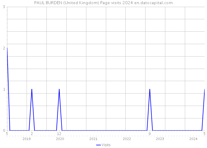 PAUL BURDEN (United Kingdom) Page visits 2024 