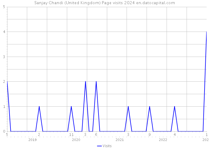 Sanjay Chandi (United Kingdom) Page visits 2024 