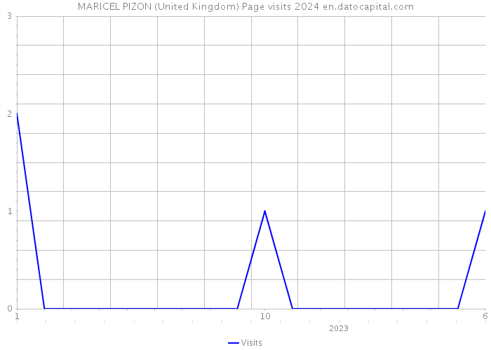 MARICEL PIZON (United Kingdom) Page visits 2024 