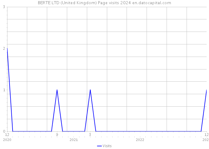 BERTE LTD (United Kingdom) Page visits 2024 
