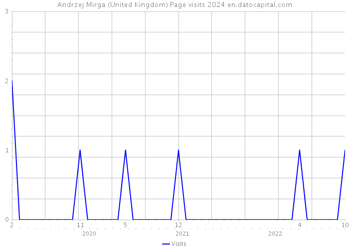 Andrzej Mirga (United Kingdom) Page visits 2024 