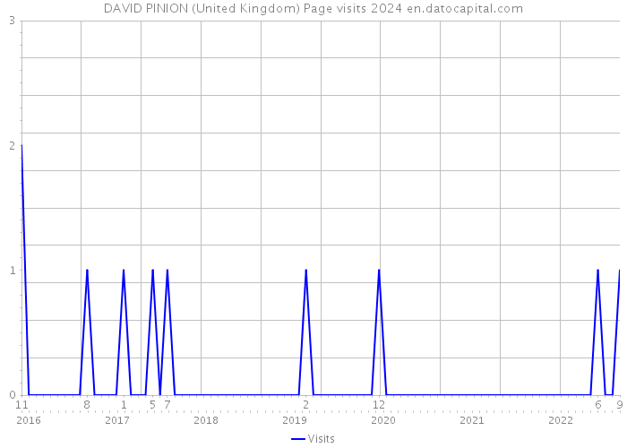 DAVID PINION (United Kingdom) Page visits 2024 