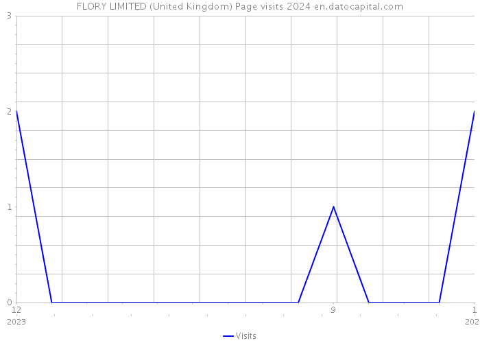FLORY LIMITED (United Kingdom) Page visits 2024 