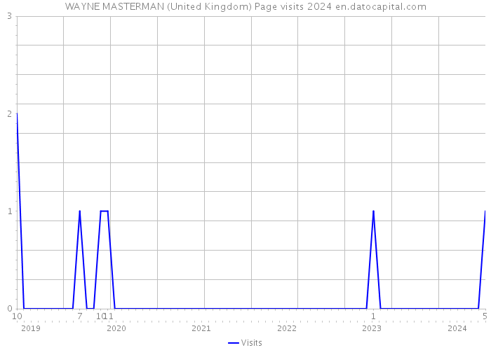 WAYNE MASTERMAN (United Kingdom) Page visits 2024 